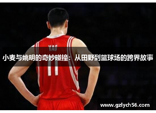 小麦与姚明的奇妙碰撞：从田野到篮球场的跨界故事