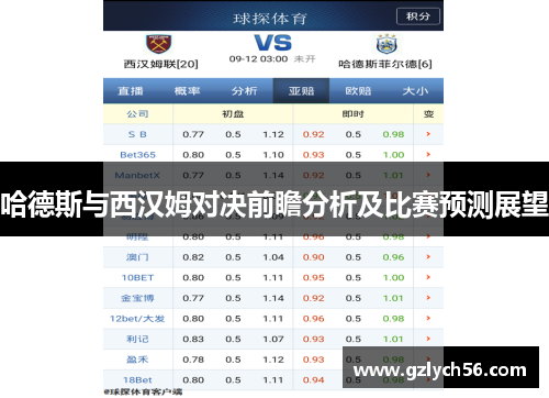 哈德斯与西汉姆对决前瞻分析及比赛预测展望